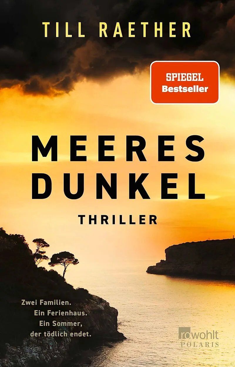 Livres: Spannende Thriller – D'occasion à bern par jeannie2006 9