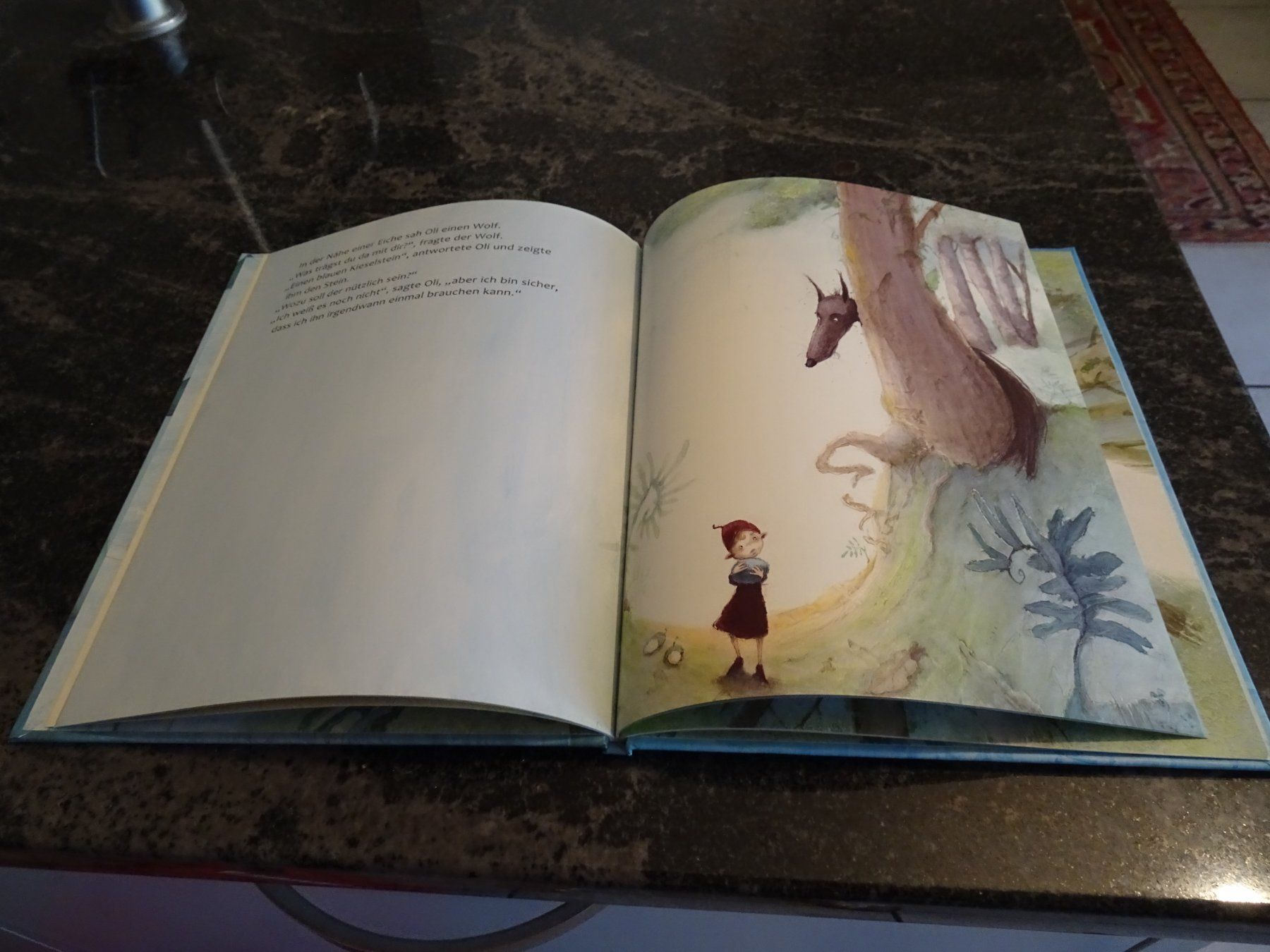 Bücher: Bilderbuch Der Blaue Stein Schöne Bilder / – Gebraucht aus Zürich von Roulet 3