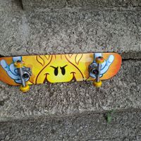 Skate Board.  OU  planche a roulettes