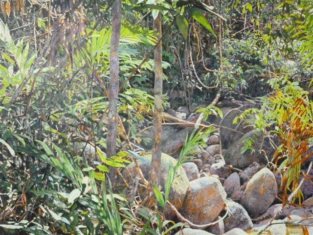 Foto & Immagini: Schroeder Borm – Usato da Hombrechtikon venduto da movoko01
