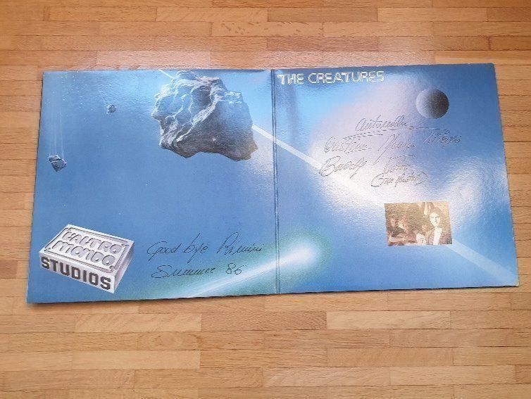 Dischi in vinile: Vinyl The Creatures - Where you are – Usato da Bottighofen venduto da Miatax5 1