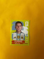 ARG 8 Enzo Fernandez Panini WM 2026 Sticker