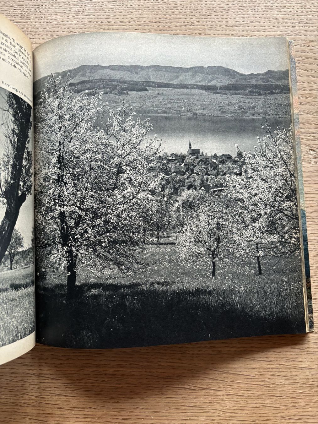 Libri: Visages de la Patrie – Usato da Urnäsch venduto da Vorrolli 3