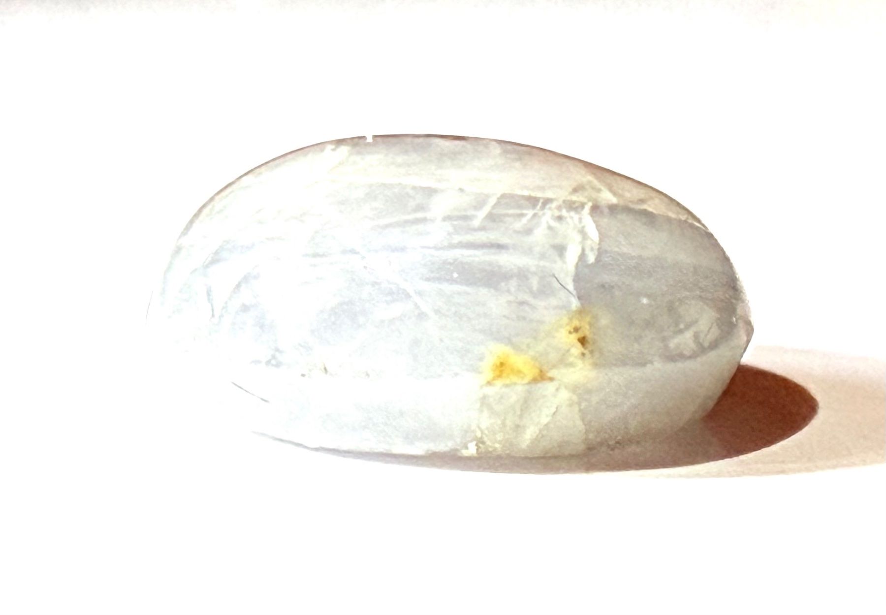 Pietre preziose: Echter, heller, grausilbriger Sternsaphir Cabochon – Nuovo e nell'imballaggio originale da Zuerich venduto da SonderArt-Wertgut 4