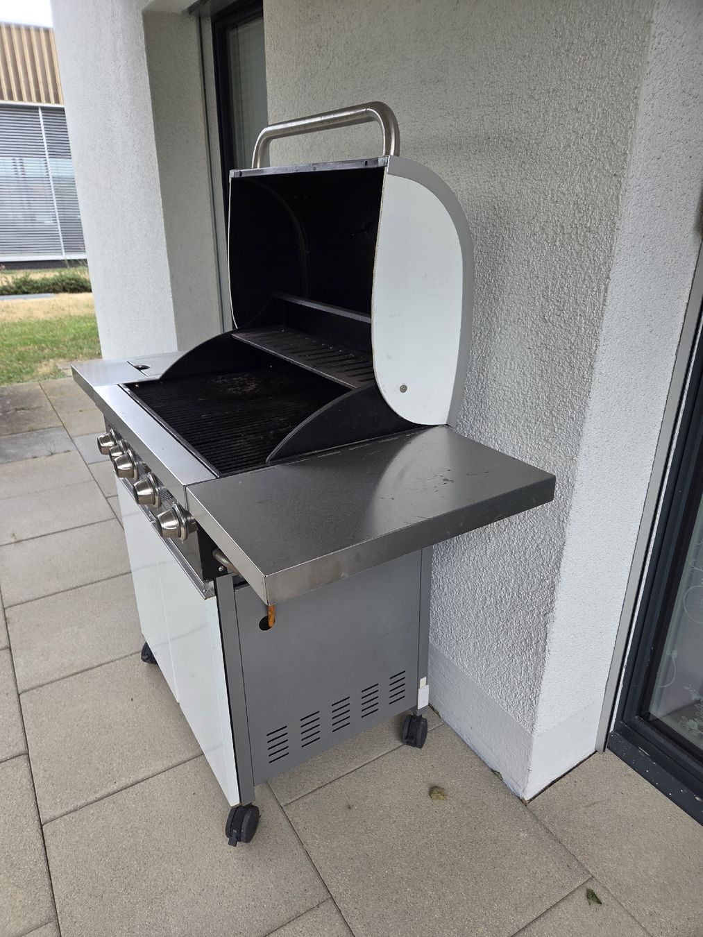 Katzenklappen: Grill – Gebraucht aus Rickenbach-Sulz von Bacardibabe 6