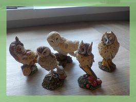 Deko / Sammlerfiguren Eulen 5er Set Neu