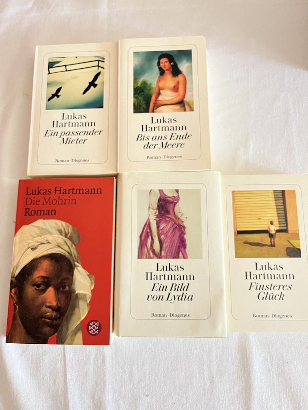 Bücher: Bücher von Lukas Hartmann – Gebraucht aus Bern von rope2024