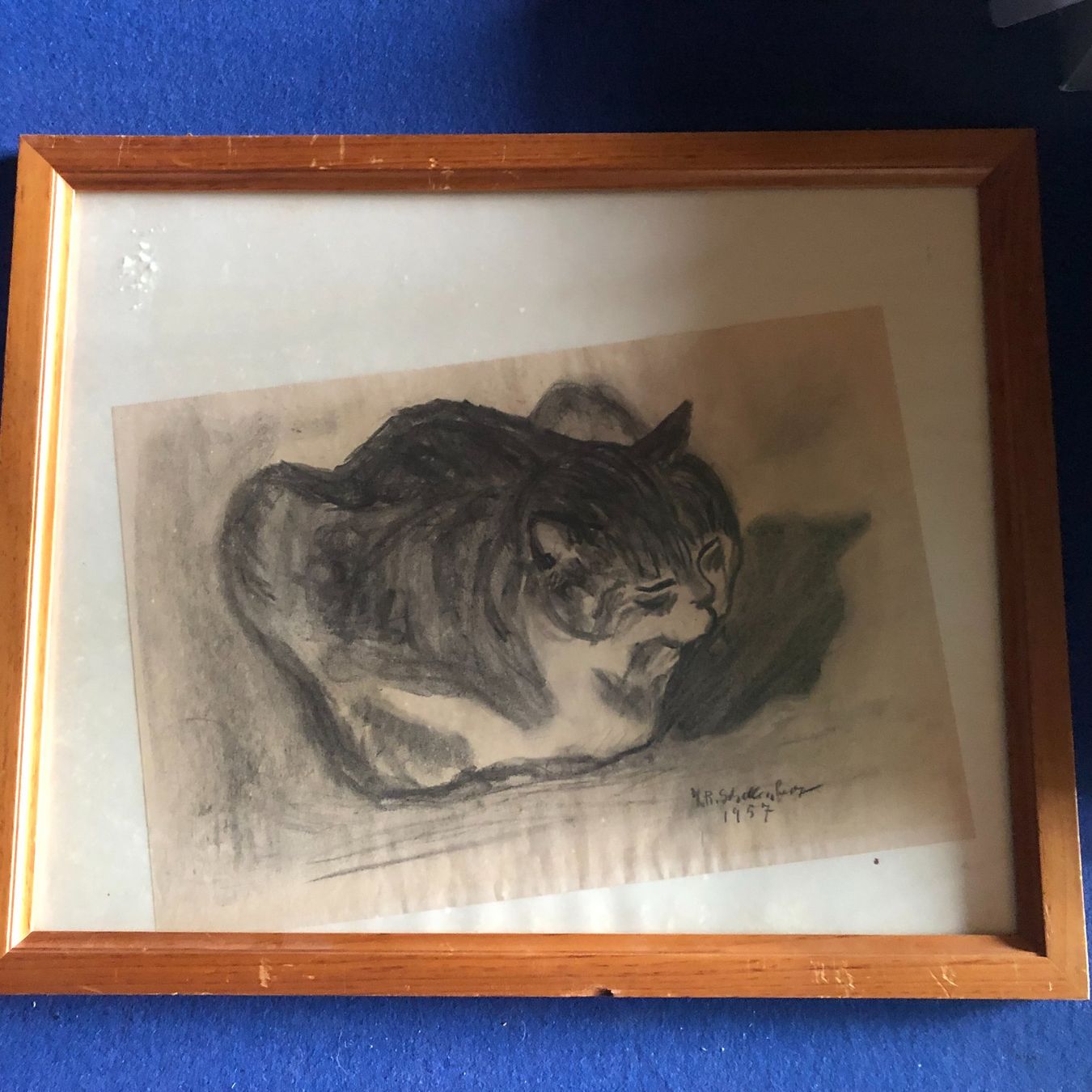 Leinwände & Keilrahmen: Tableau signé Schellenberg 1957 dessin d 'un chat 63/55 env. – Gebraucht aus Poliez-Le-Grand von Japi0 1