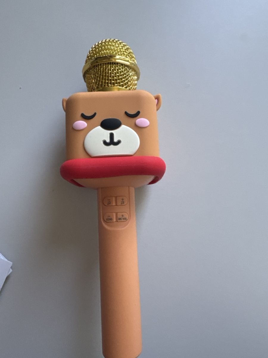 Mikrofone: BAUHN Karaoke Microphone Bluetooth New – Gebraucht aus Hünenberg von Hueso2023 4