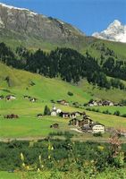 MEDELS im Hinterrheintal (an der San Bernardino-Strasse)