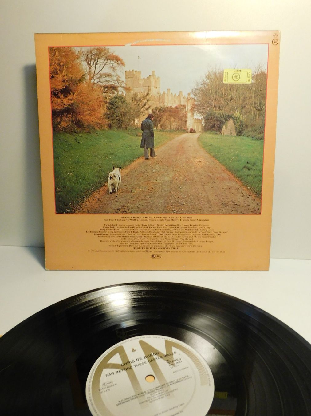 Dischi in vinile: LP Schallplatte Chris de Burgh 1975  gebrau – Usato da Sursee venduto da 76 2
