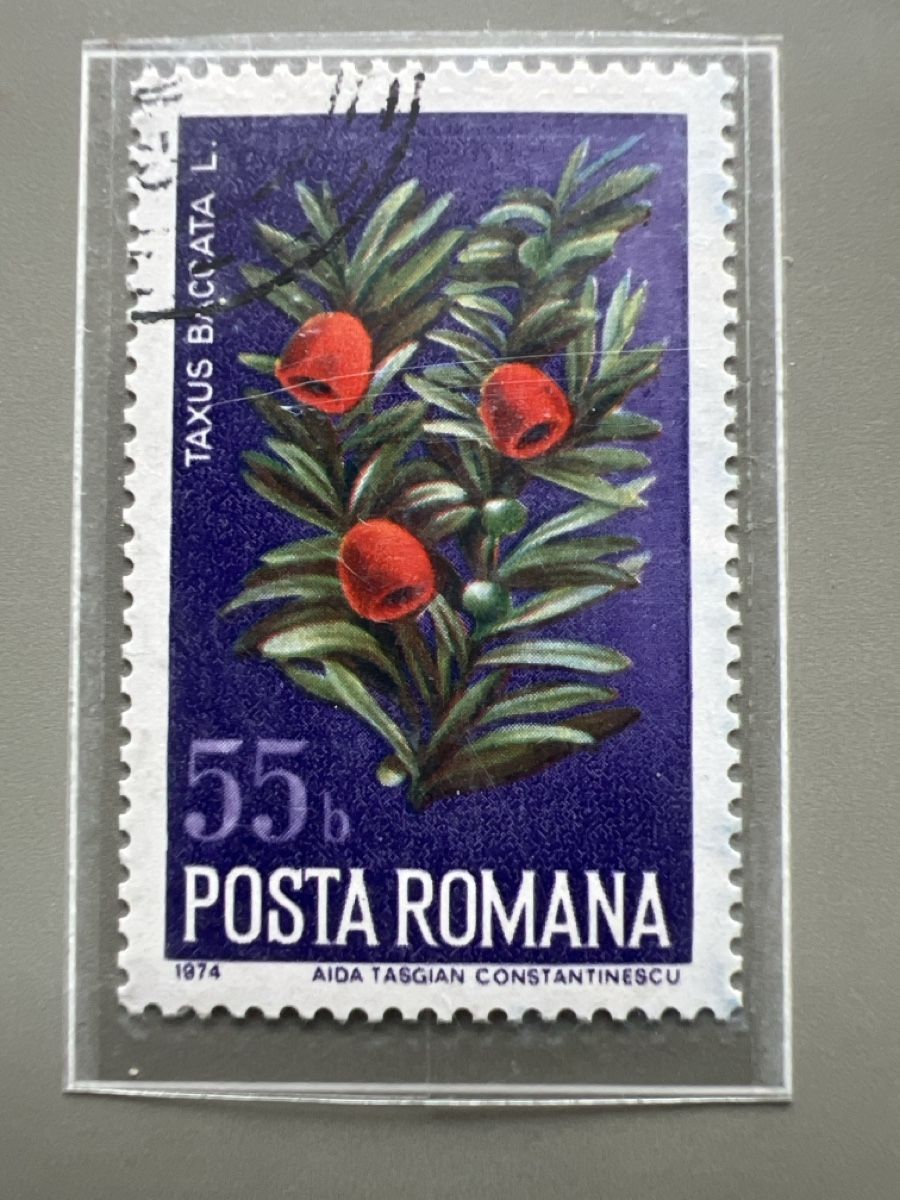 Tutti i francobolli: Briefmarken Rumänien  – Usato da Glattbrugg venduto da Artos67 3