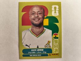 W Cup 2026 Ghana N°17 Ayew