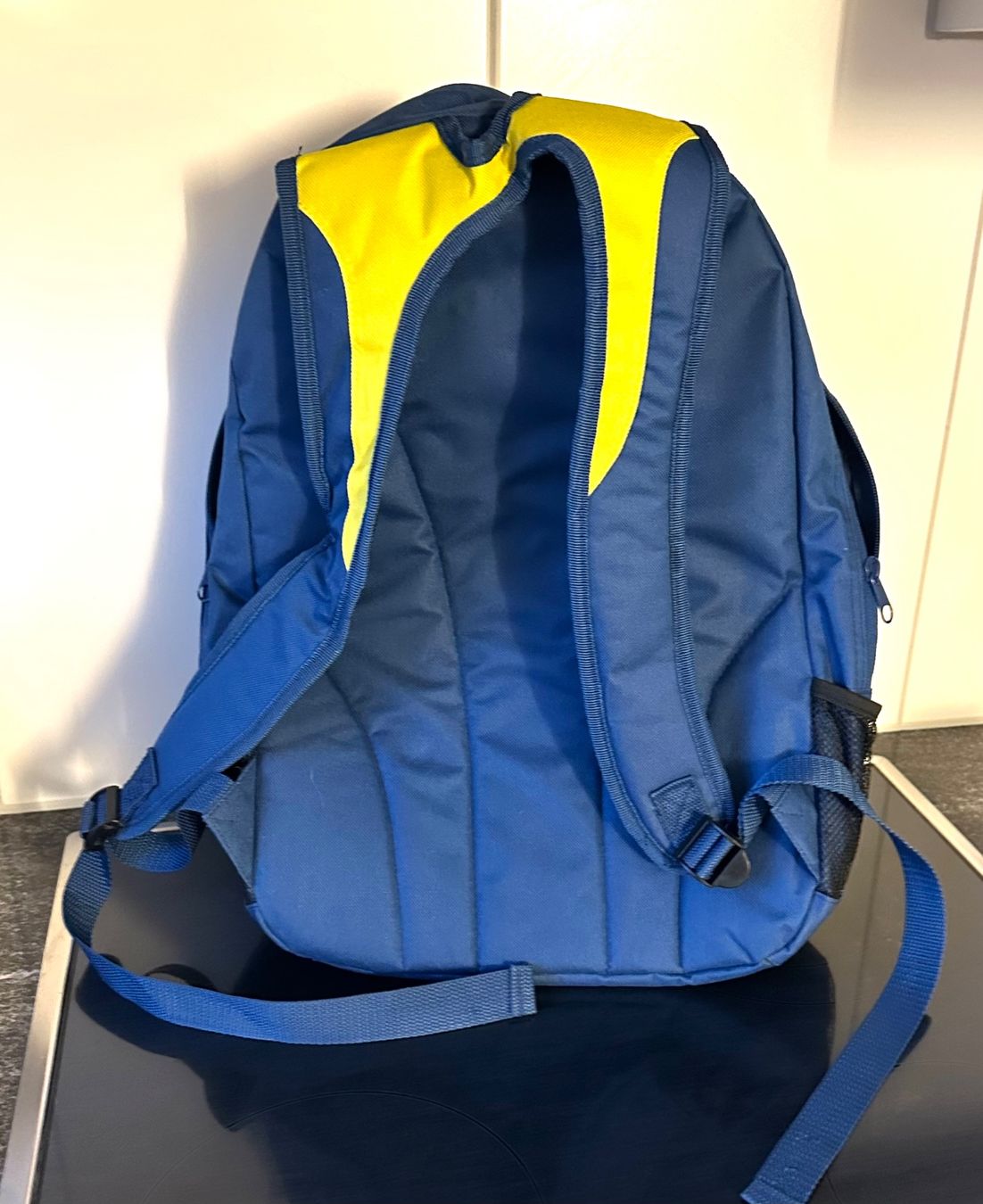 Canottiere & Pantaloni: Rucksack HCD Davos EisHockey Club Davos – Usato da Zürich venduto da brazerola 1