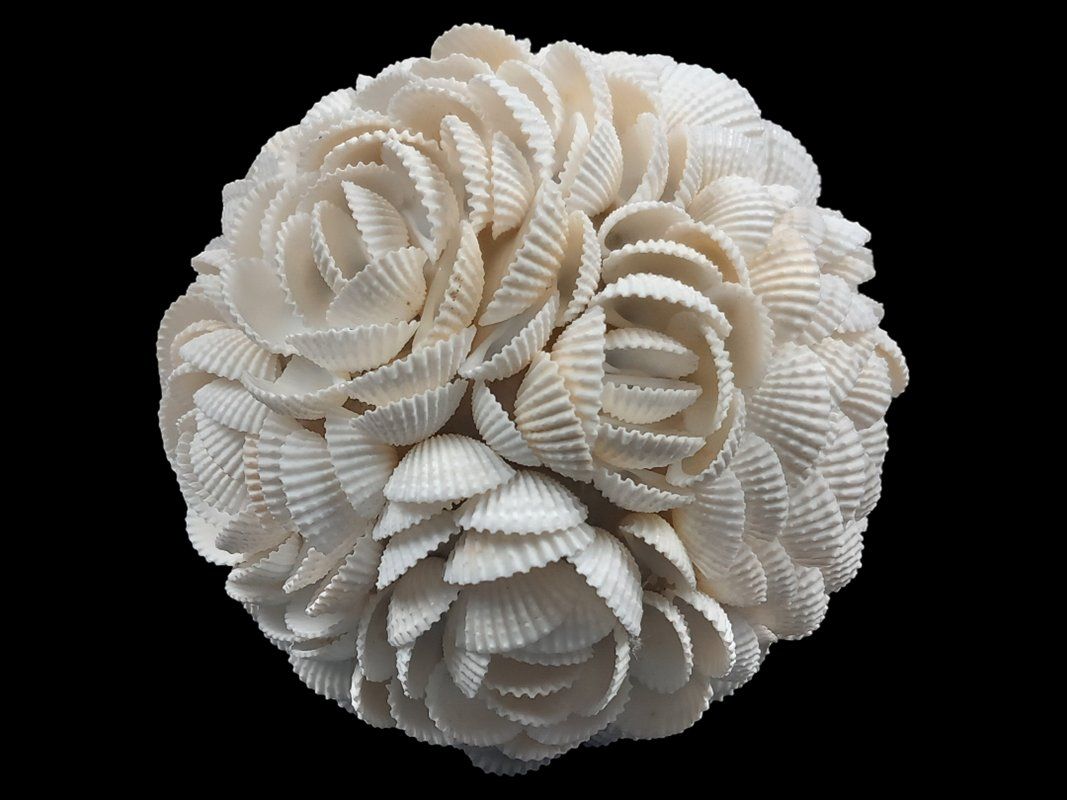 Tutte le decorazioni: Muschelkugel Rosenmuster – Usato da Hünenberg venduto da Restwert_Zug 1