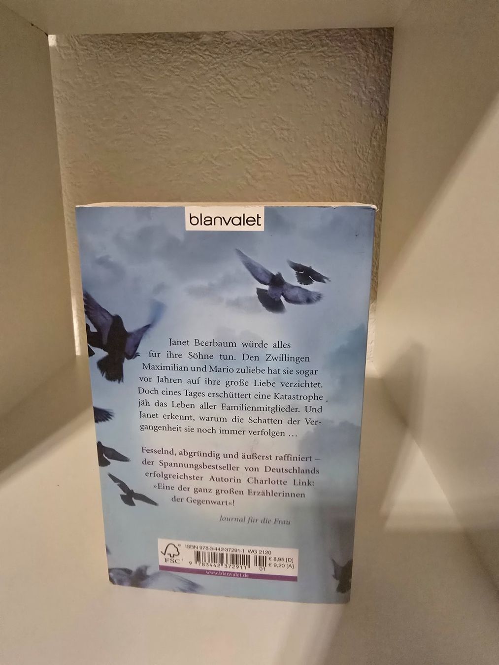 Libri: Charlotte Link - Die Sünde der Engel! – Usato da Cazis venduto da Hexe_78 1