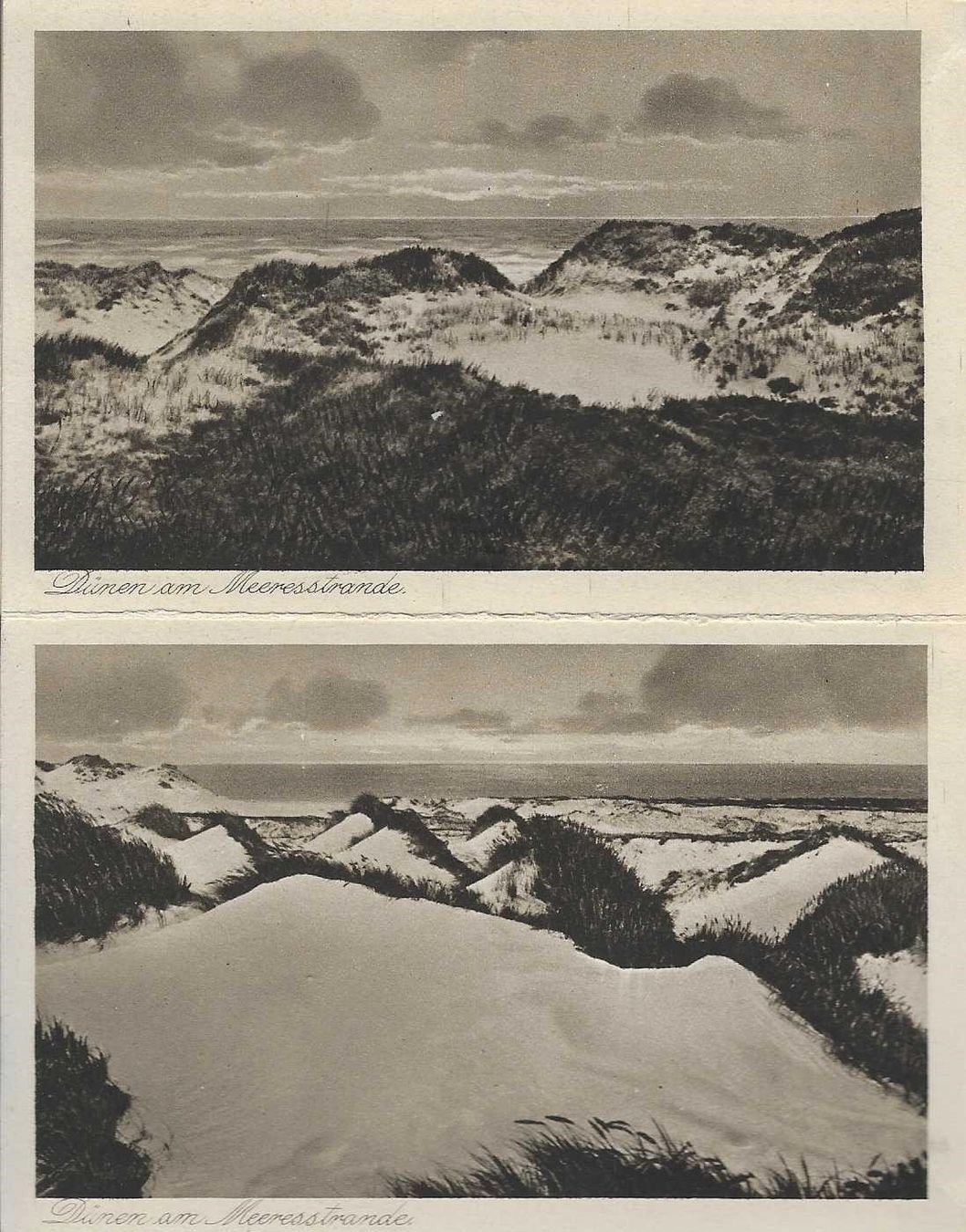 Libri: Dünen am Meeresstrand – Usato da Flims - Dorf venduto da Stagediver 3
