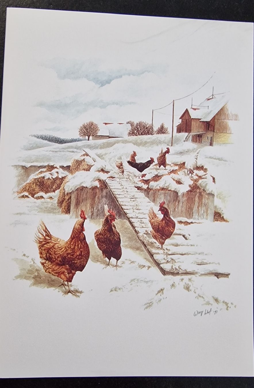Cartoline: Kunstkarten 100 Stk – Nuovo e nell'imballaggio originale da Flawil venduto da Linna12