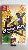 Cobra Kai The Karate Kid Saga Continues Switch Game - TOP!