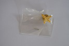 Swissair Pin