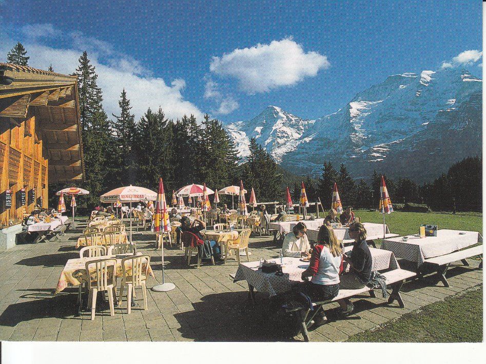 Cartoline postali: Mürren Winteregg 2003 – Usato da Bürglen TG venduto da StampGraf