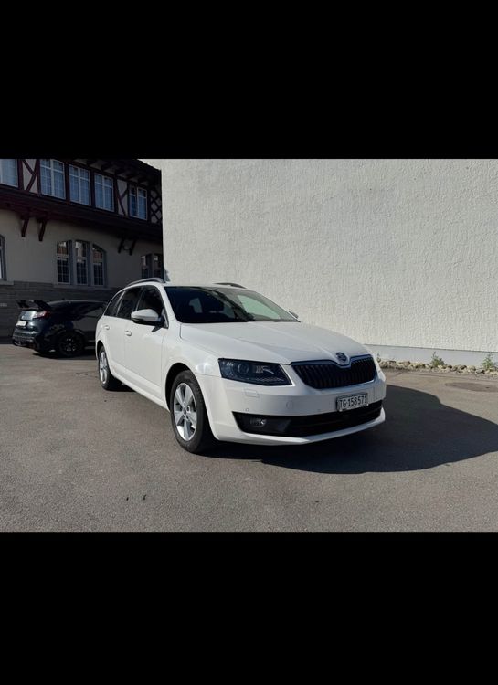 Skoda Automobili: Skoda Octavia 2.0 TDI DSG – Usato da Matzingen venduto da szr_57 1