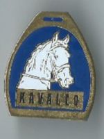 Pferdekopf KAVALLO Pin