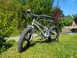 Early Rider Seeker 14 Zoll
