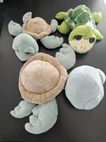 Plüschschildkröten