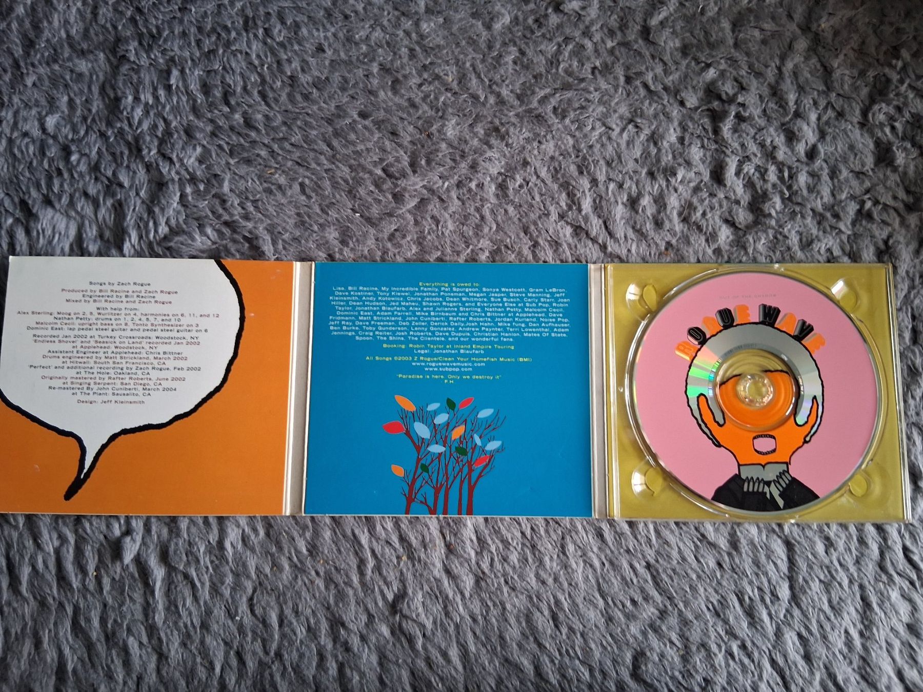 CDs: ROGUE WAVE    OUT OF THE SHADOW      CD – Gebraucht aus Wetzikon ZH von Ramones01 2