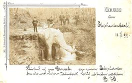 AK ZÜRICH ELEPHANTENBACH PERSONEN 1899