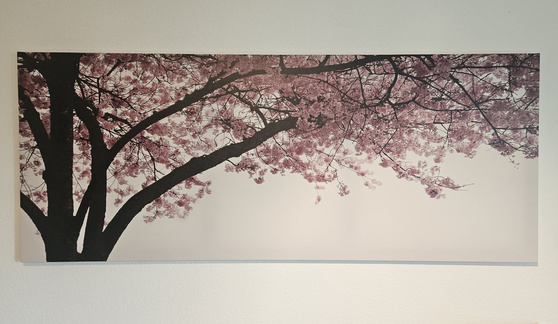 Poster & Bilder: Wandbild Kirschblütenbaum – Gebraucht aus Emmenbrücke von L_W