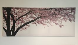 Wandbild Kirschblütenbaum
