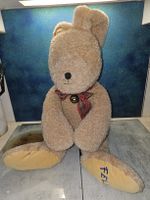 Hase Felix sucht ein neues Zuhause