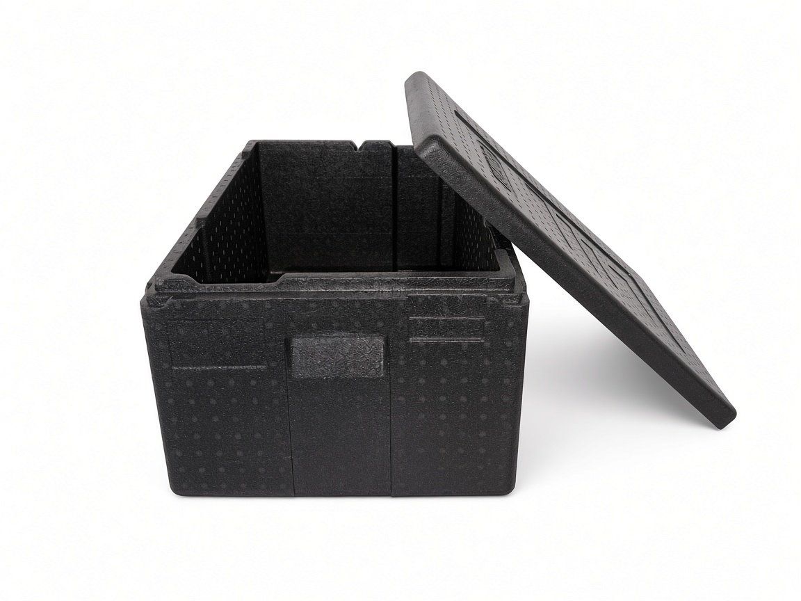 Baucontainer: Conteneur de transport Cambro – Gebraucht aus Préverenges von vin_krx5
