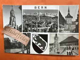 Ansichtskarte Bern Ansichtssache mit Bear C. Sartori Fils