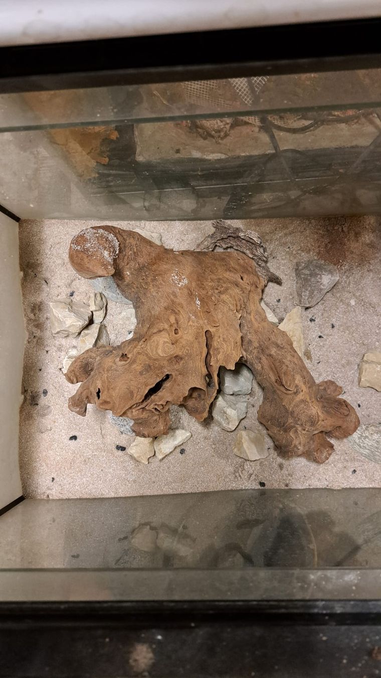 Acquari: Aquarium 110 Liter – Usato da Oberentfelden venduto da Myri13 2