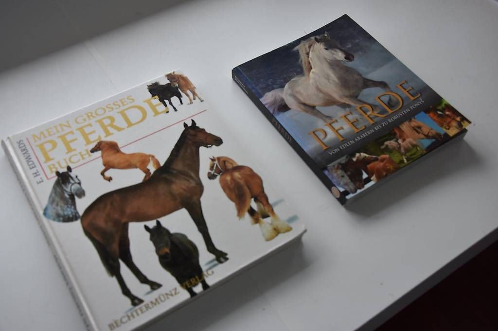 Libri: Pferdebücher – Usato da Kirchdorf AG venduto da nif_pmw9