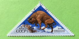 Briefmarken aus Sowjetunion (CCCP) gestempelt  