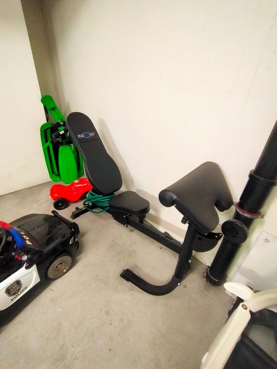 Dskeuzeew Hantelbank Klappbar - Verstellbare Trainingsbank Bis 300kg, 7 Stufen