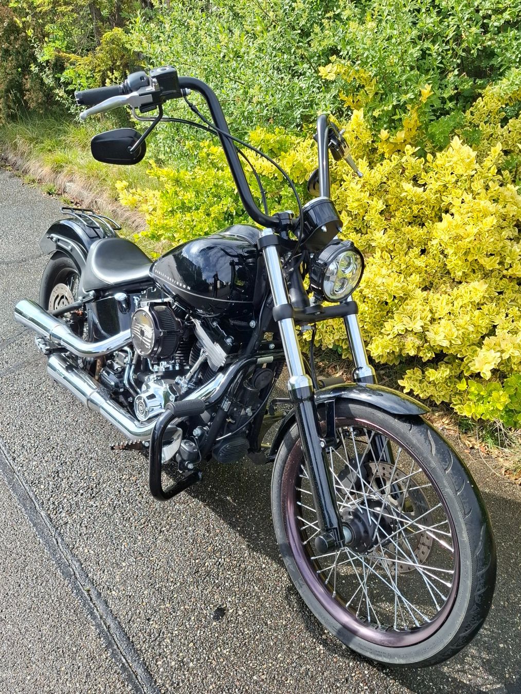 Harley-Davidson Chopper: HARLEY DAVIDSON SOFT TAIL BLACKLINE 1585 – Usato da Reinach BL venduto da vwbora75 1