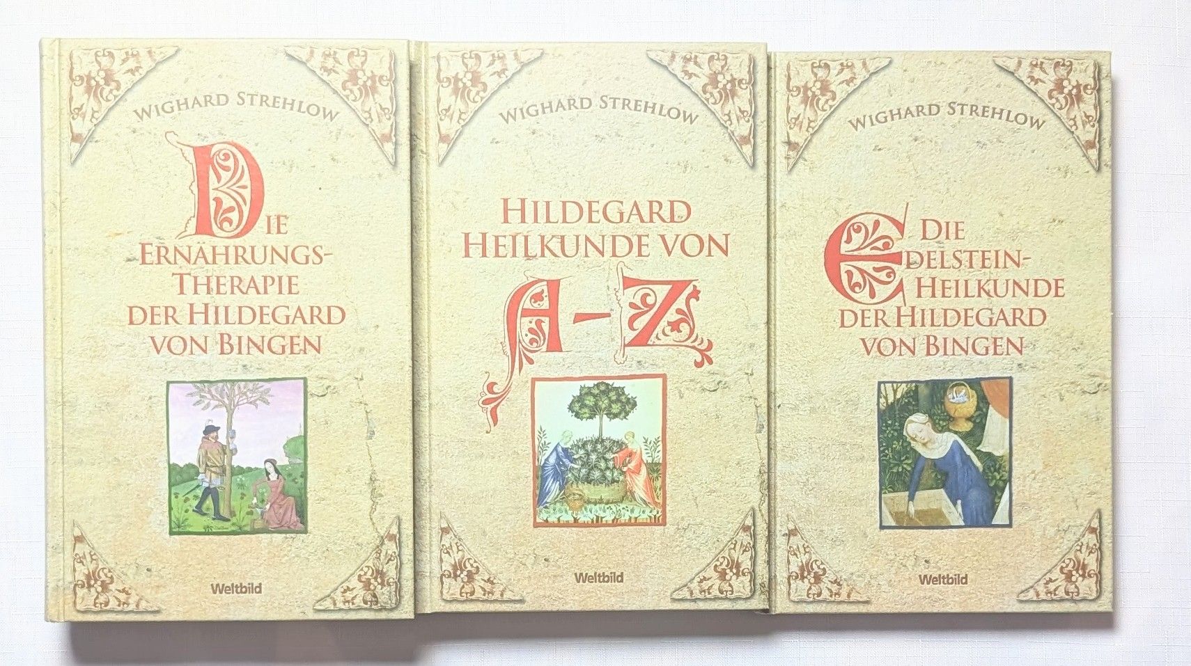 Libri: DIE GROSSE HEILKUNDE DER HILDEGARD VON BINGEN – Nuovo (secondo la descrizione) da Wängi venduto da ABIZONE-86