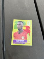 Éduard Mendy