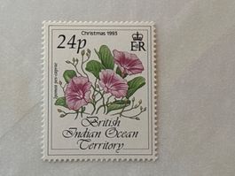 Weihnachtsbriefmarke 1993, 24p, UK British Indian Ocean