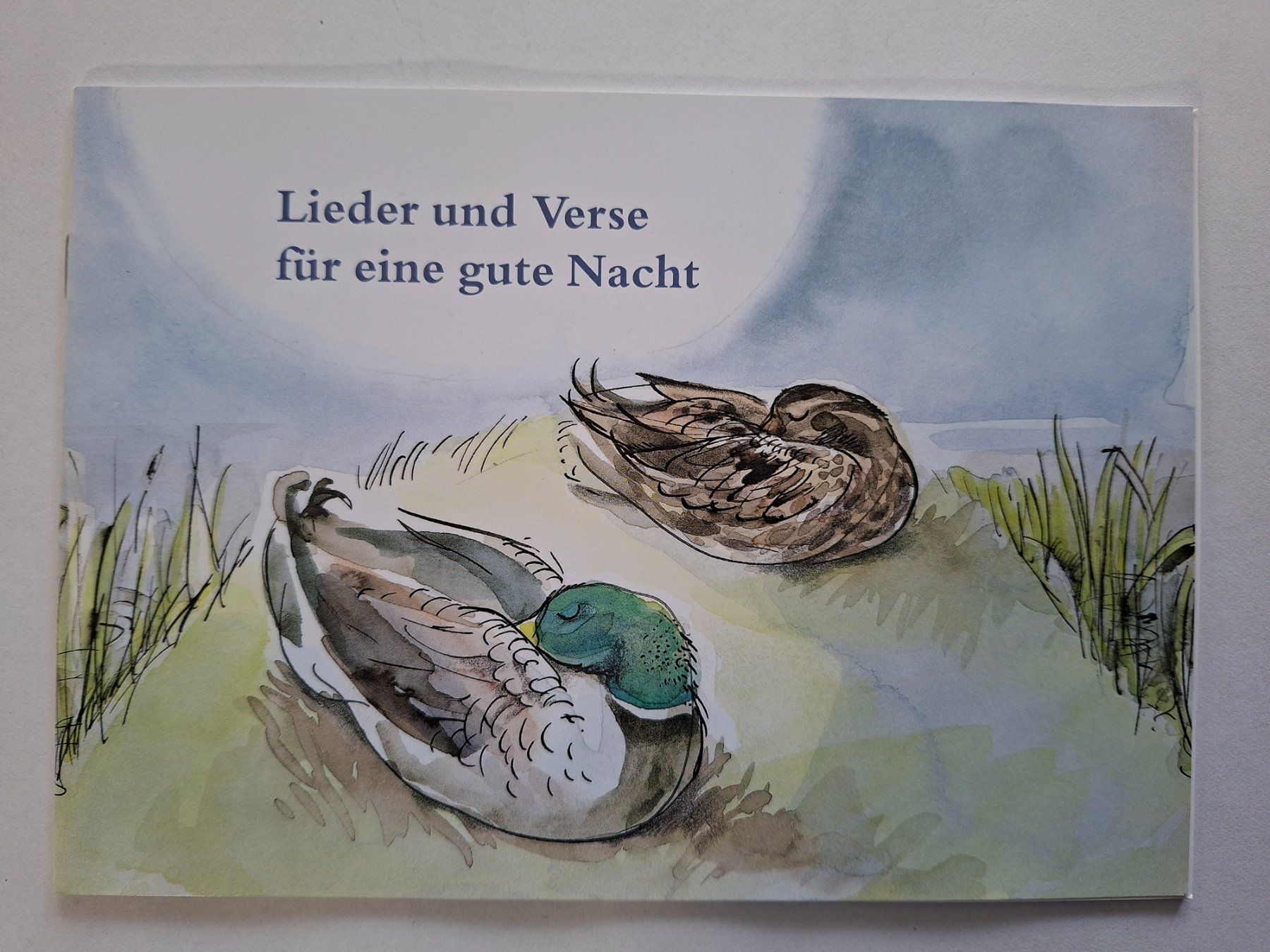 Bücher: Diverse Singbücher – Gebraucht aus Goldach von armando_r 3