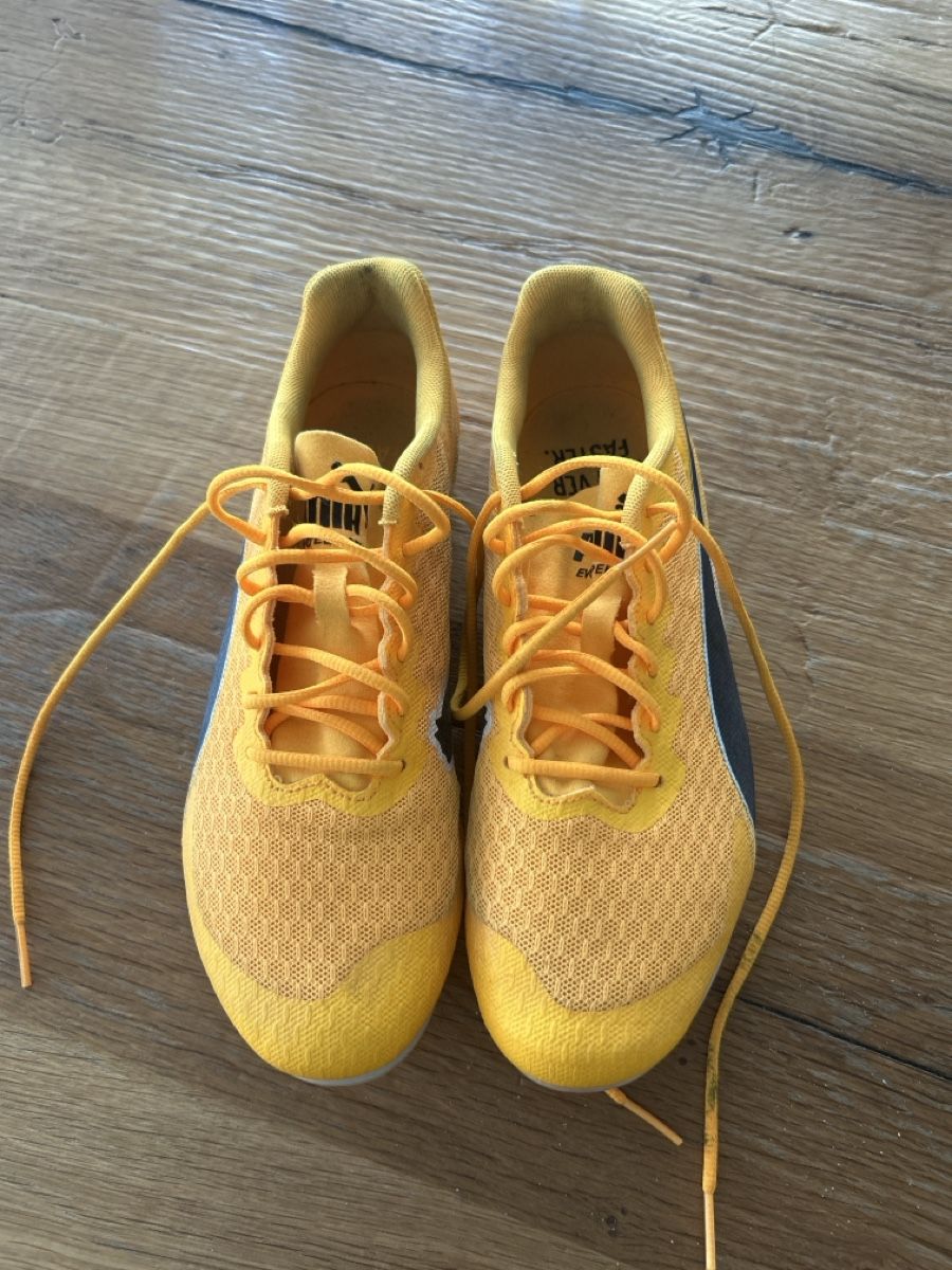 Puma Herrenschuhe: Nagelschuhe Grösse 38 puma – Gebraucht aus Fischbach- Göslikon von Rommel