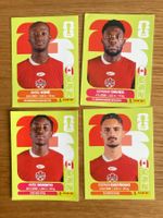 WM Sticker CAN 3, 8, 10, 11