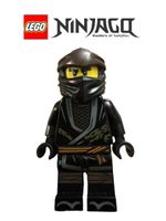 Lego Ninjago Cole njo0493