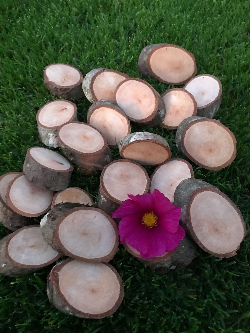 Holzartikel: Holzscheiben – Neu und originalverpackt aus Buttwil von mina010