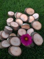 Holzscheiben